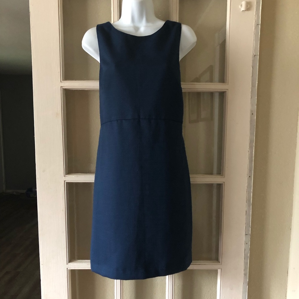 J. Crew Dress
